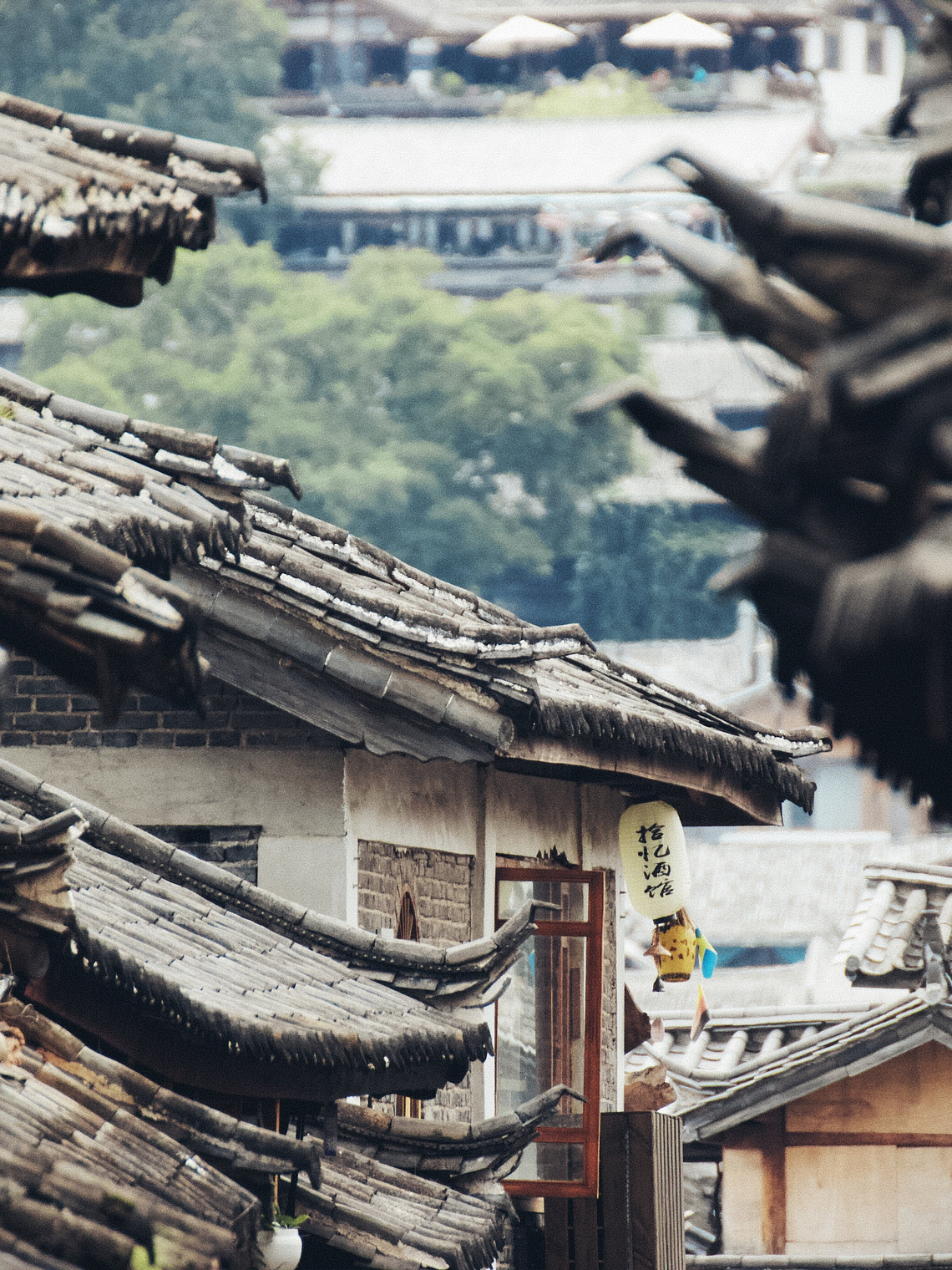 China Inolvidable: Historia milenaria y ciudades del futuro 4