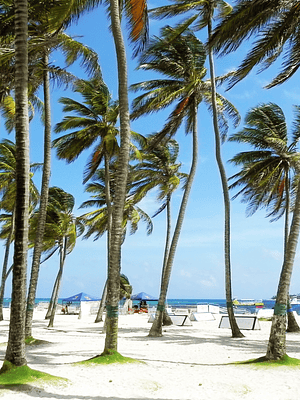 San Andrés, Colombia. El paraíso del mar de los 7 colores te espera