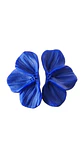 AURI BLUE  - Miniatura 2