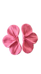 AURI BRIGHT PINK  - Miniatura 2