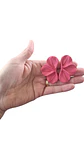 AURI BRIGHT PINK  - Miniatura 4