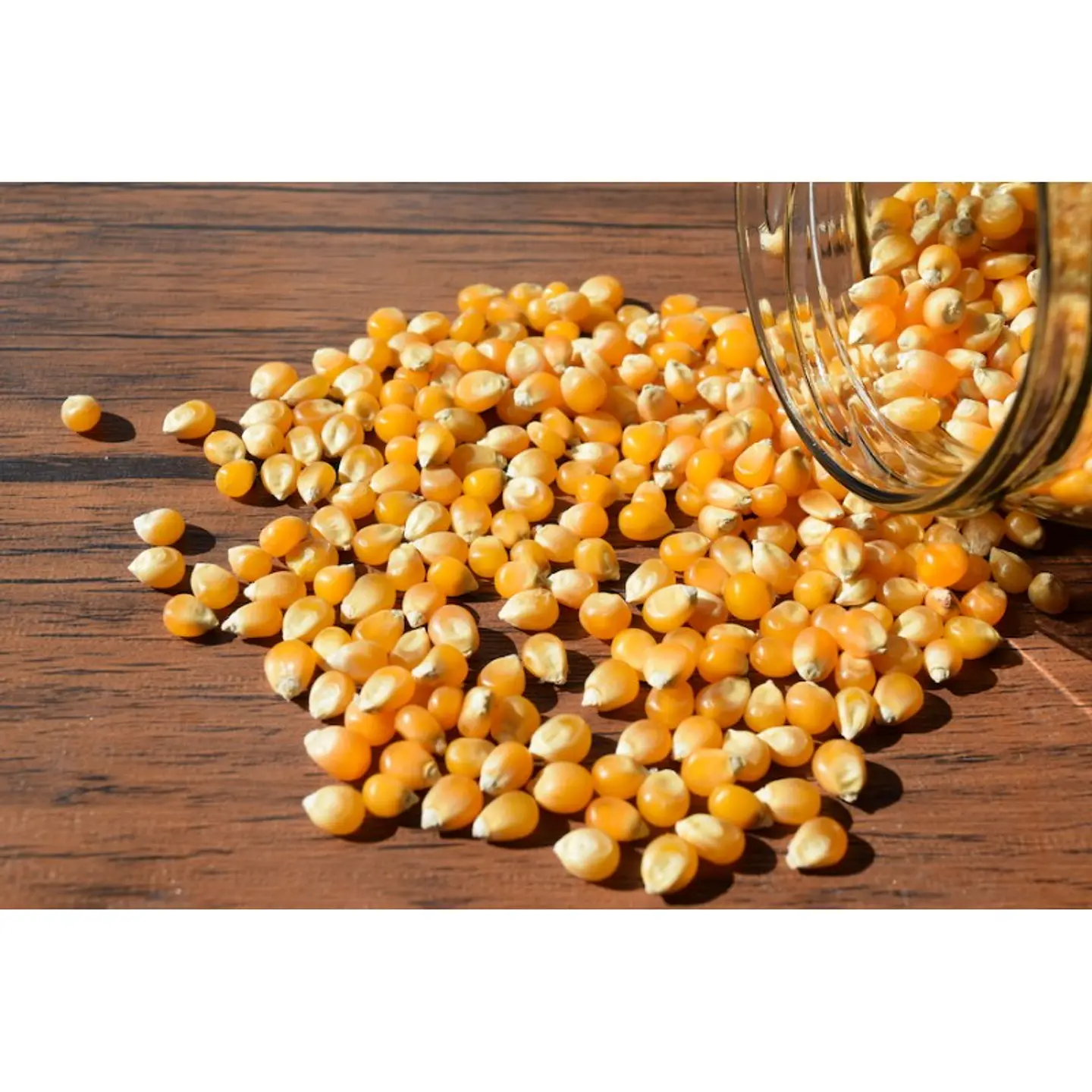 Maíz Curagua (Palomitas) 1