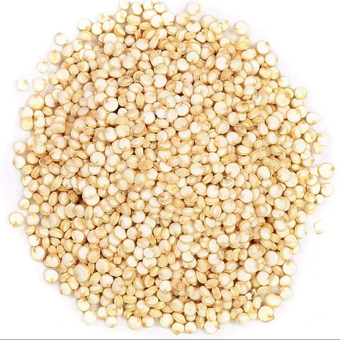 Quinoa Blanca