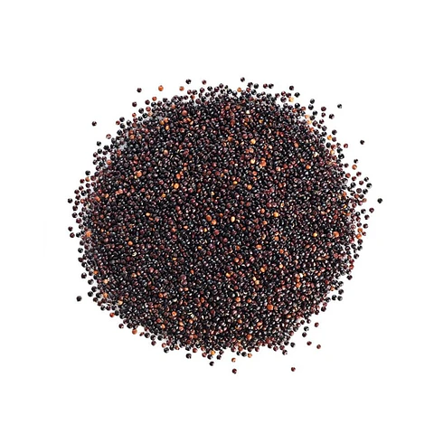 Quinoa Negra