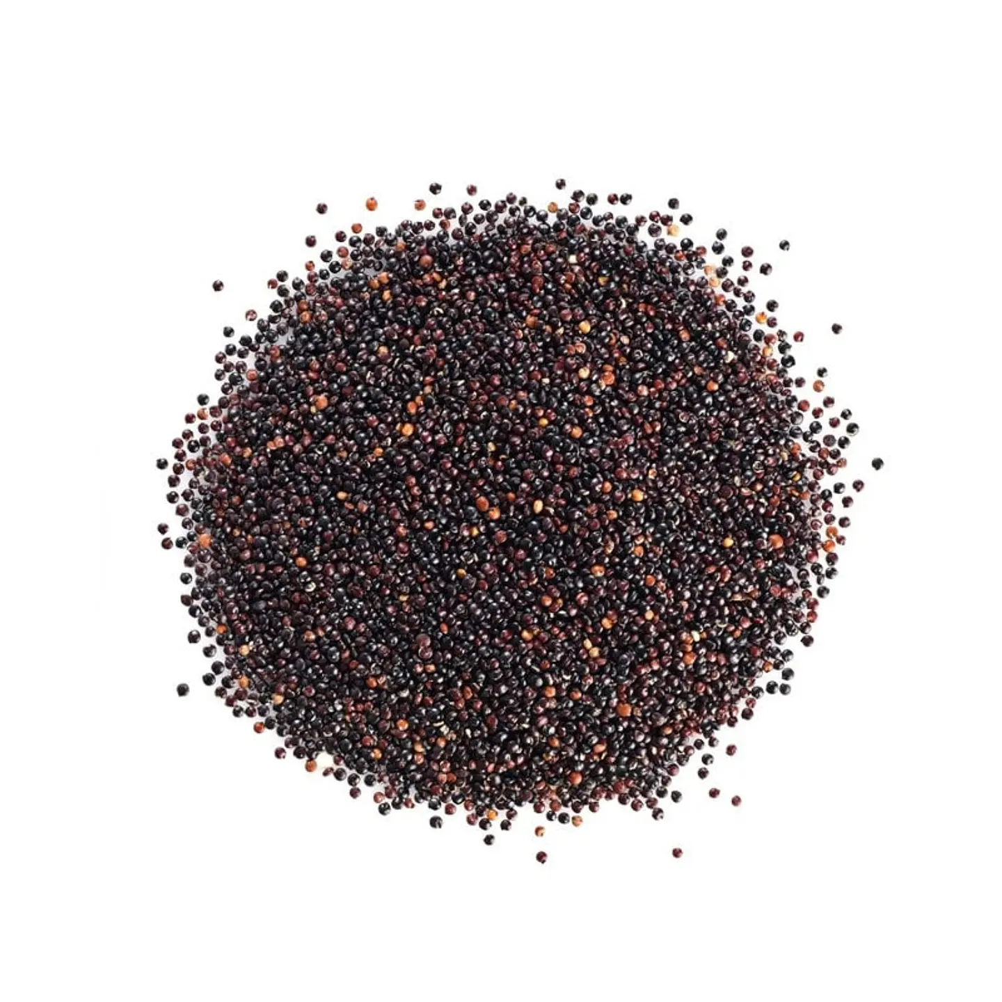 Quinoa Negra 1
