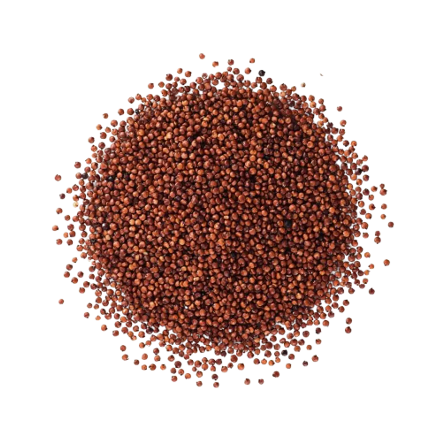 Quinoa Roja  1