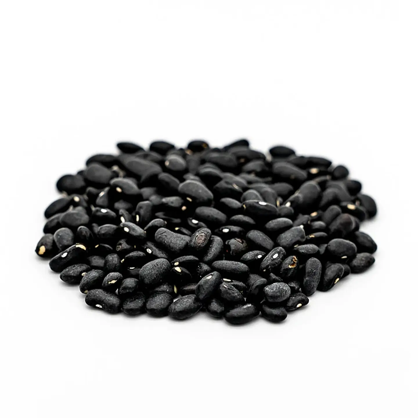 Porotos Negros 1