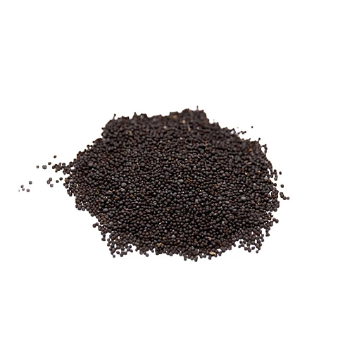 Semilla de Mostaza Negra