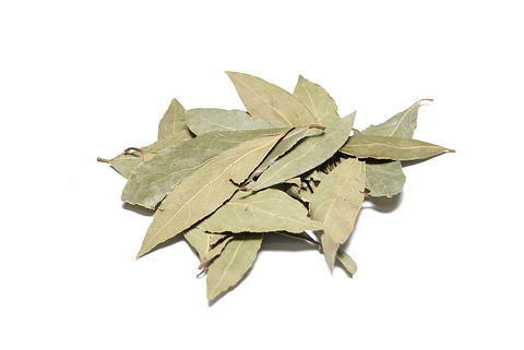Hojas de Laurel (4GR) 