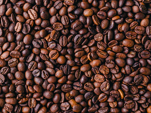Café Plata en Grano