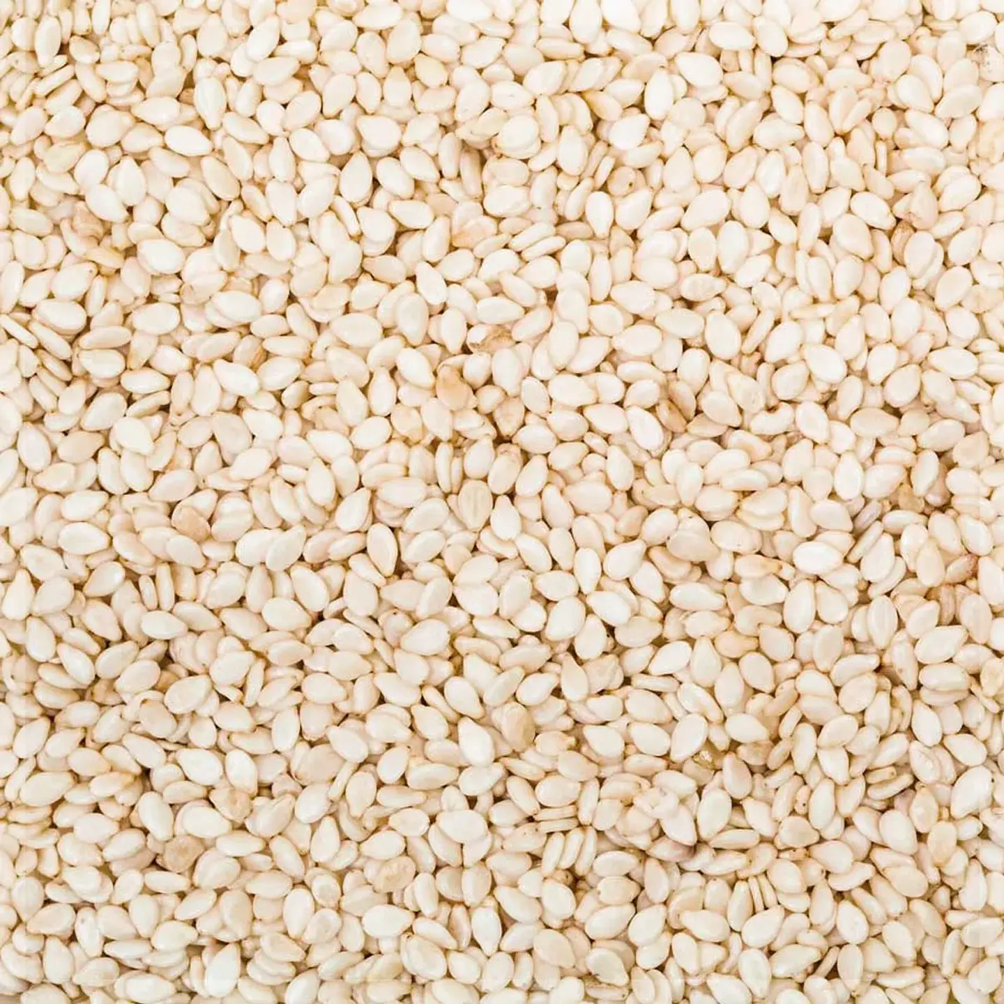 Sésamo Blanco 1