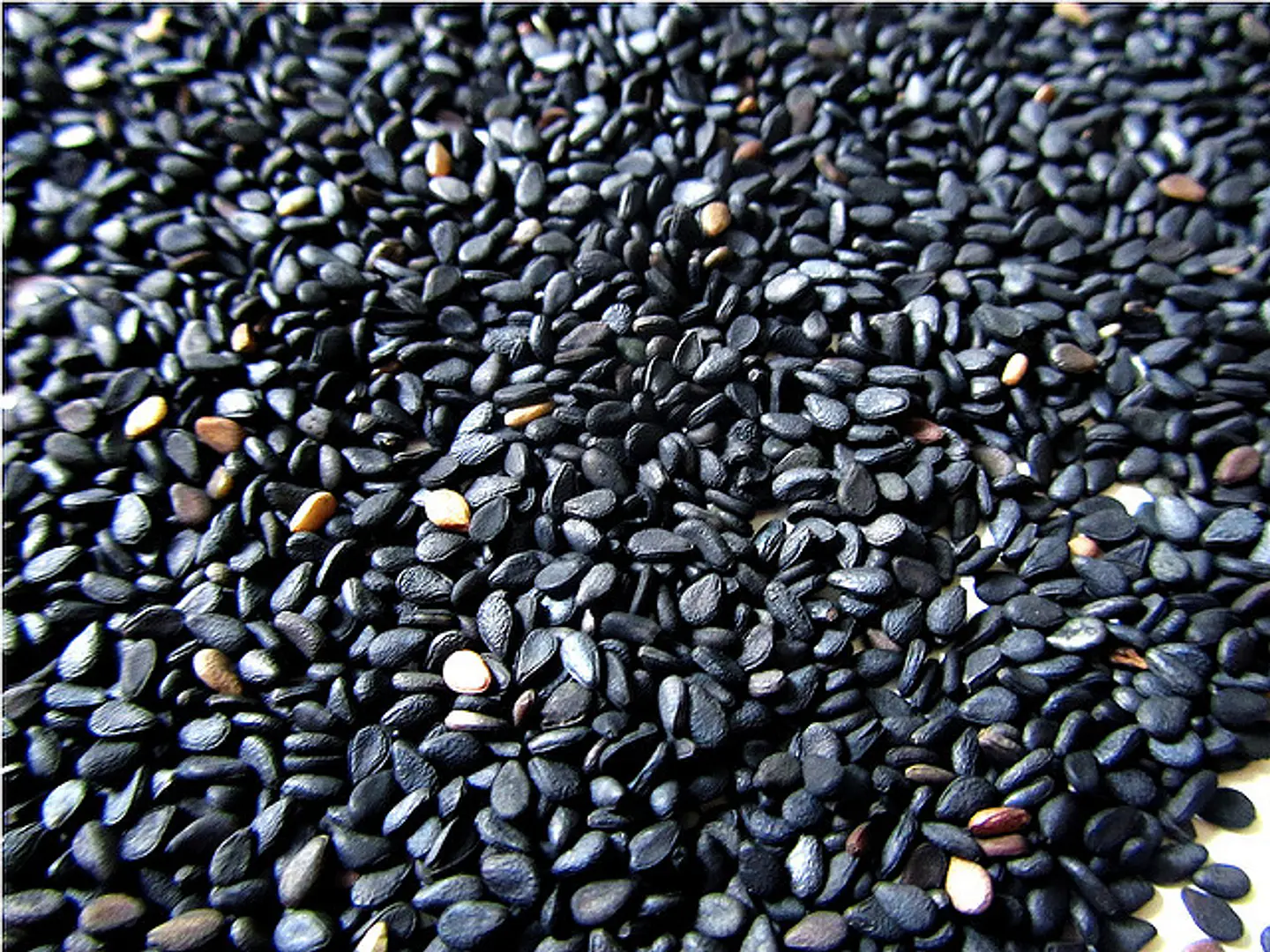 Sésamo Negro 1