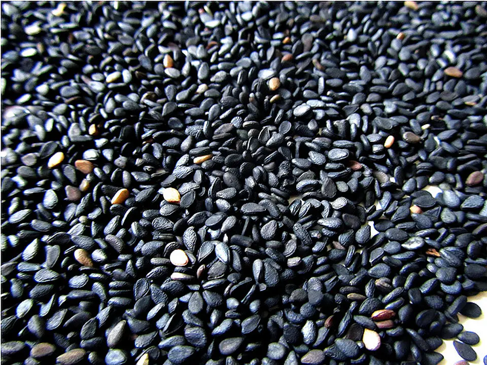Sésamo Negro 1