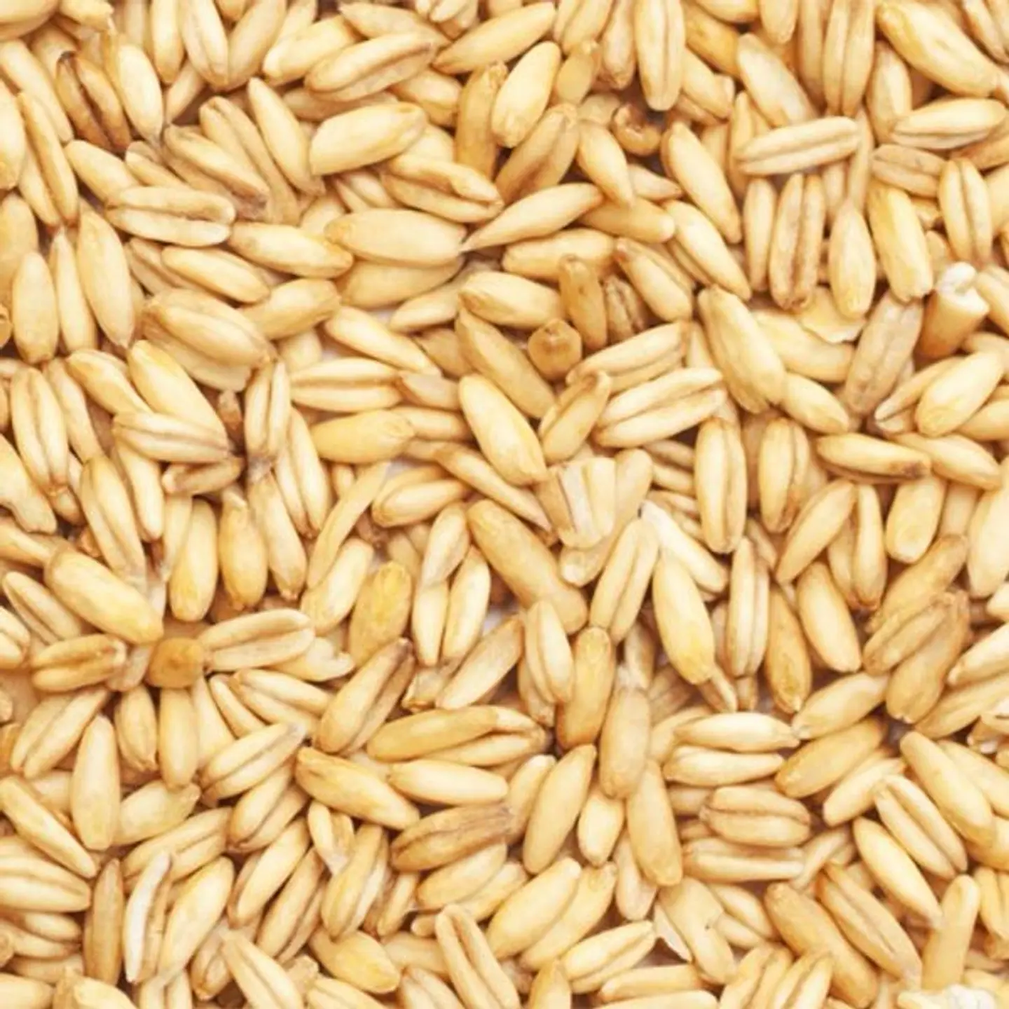 Avena Pelada 1