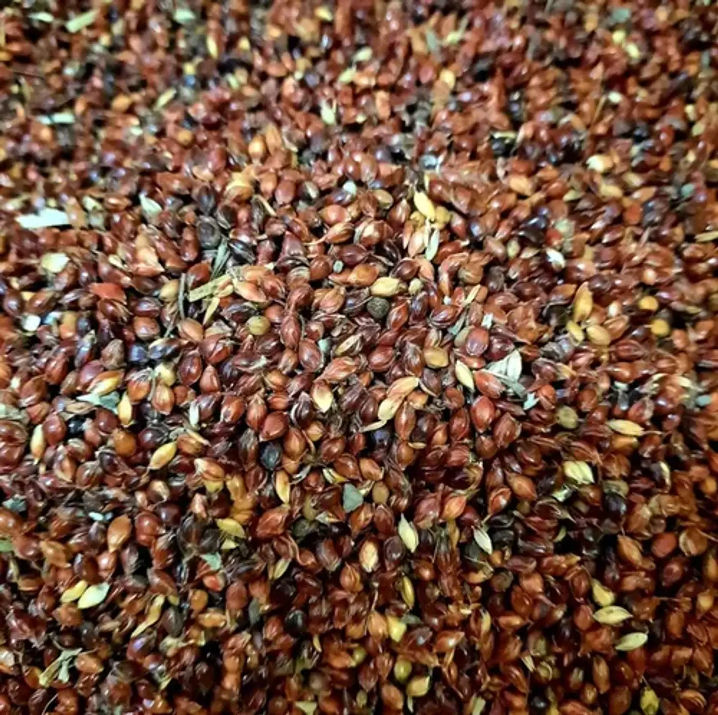Curahuilla 1