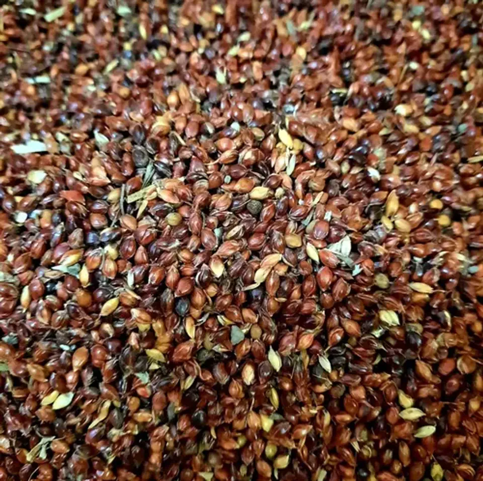 Curahuilla 1