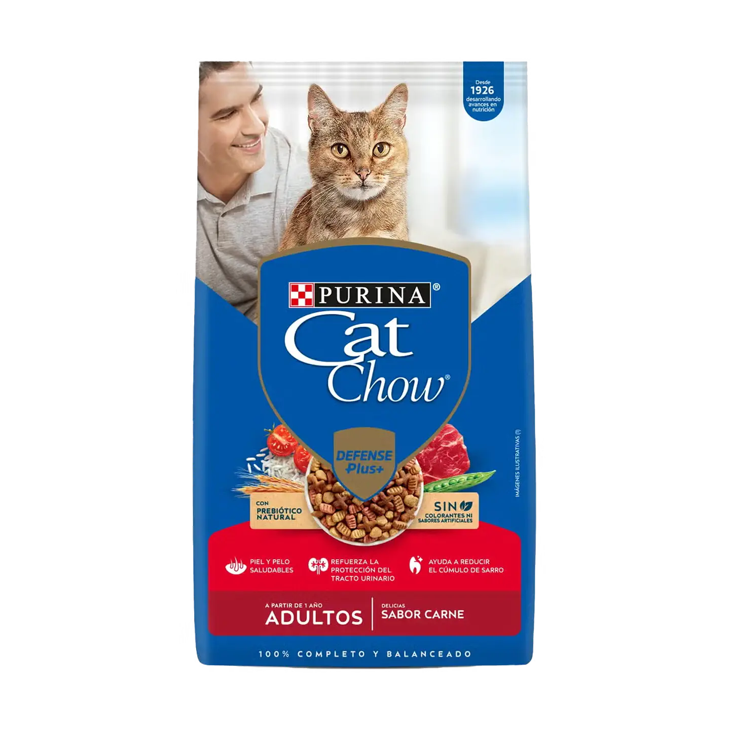 Catchow Carne 1