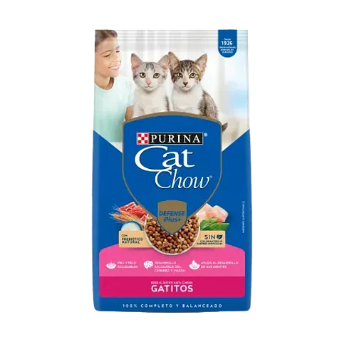Catchow Gatitos (Hasta 12 meses)