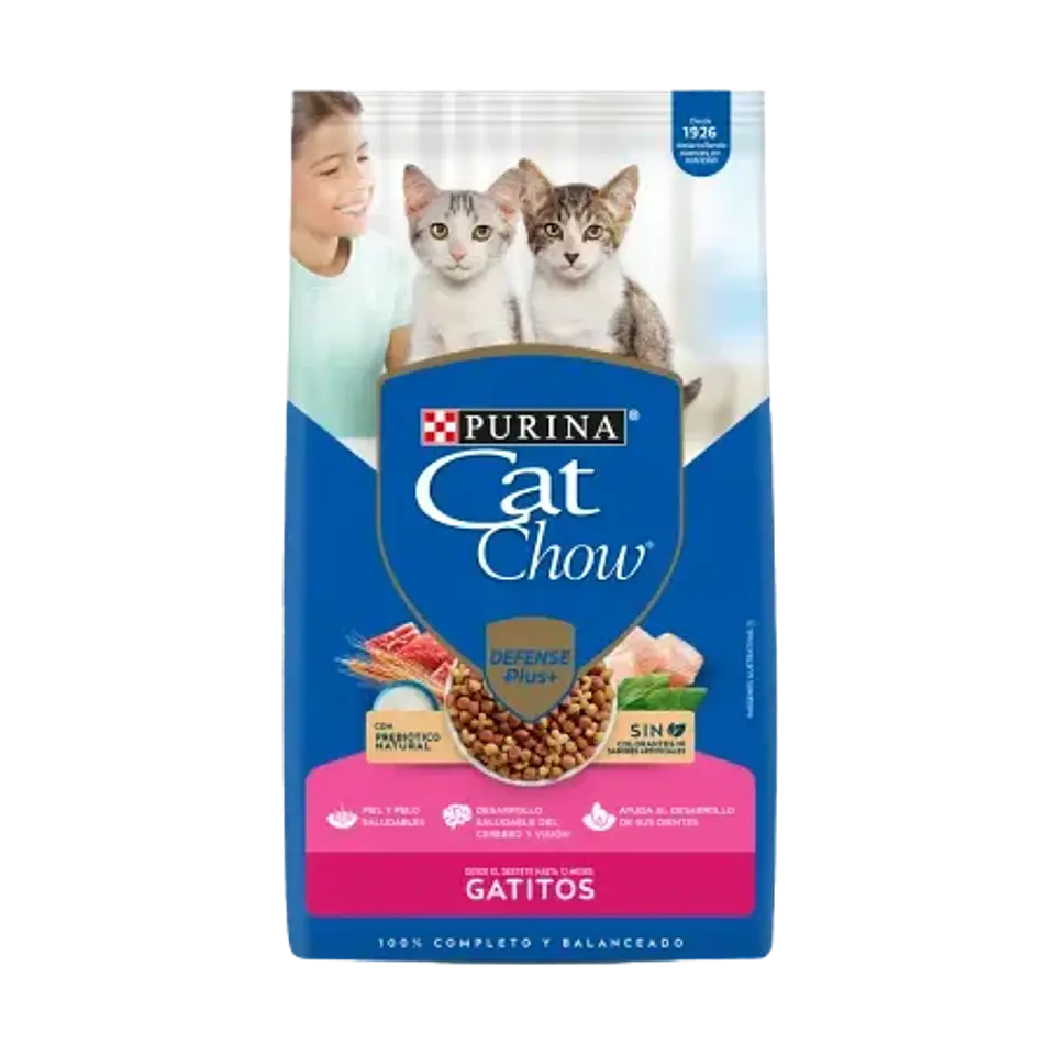 Catchow Gatitos (Hasta 12 meses) 1