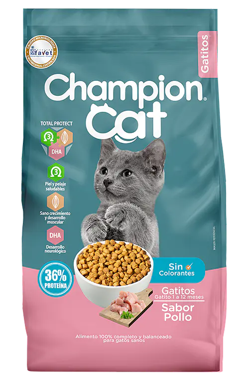 Champion Cat Gatitos