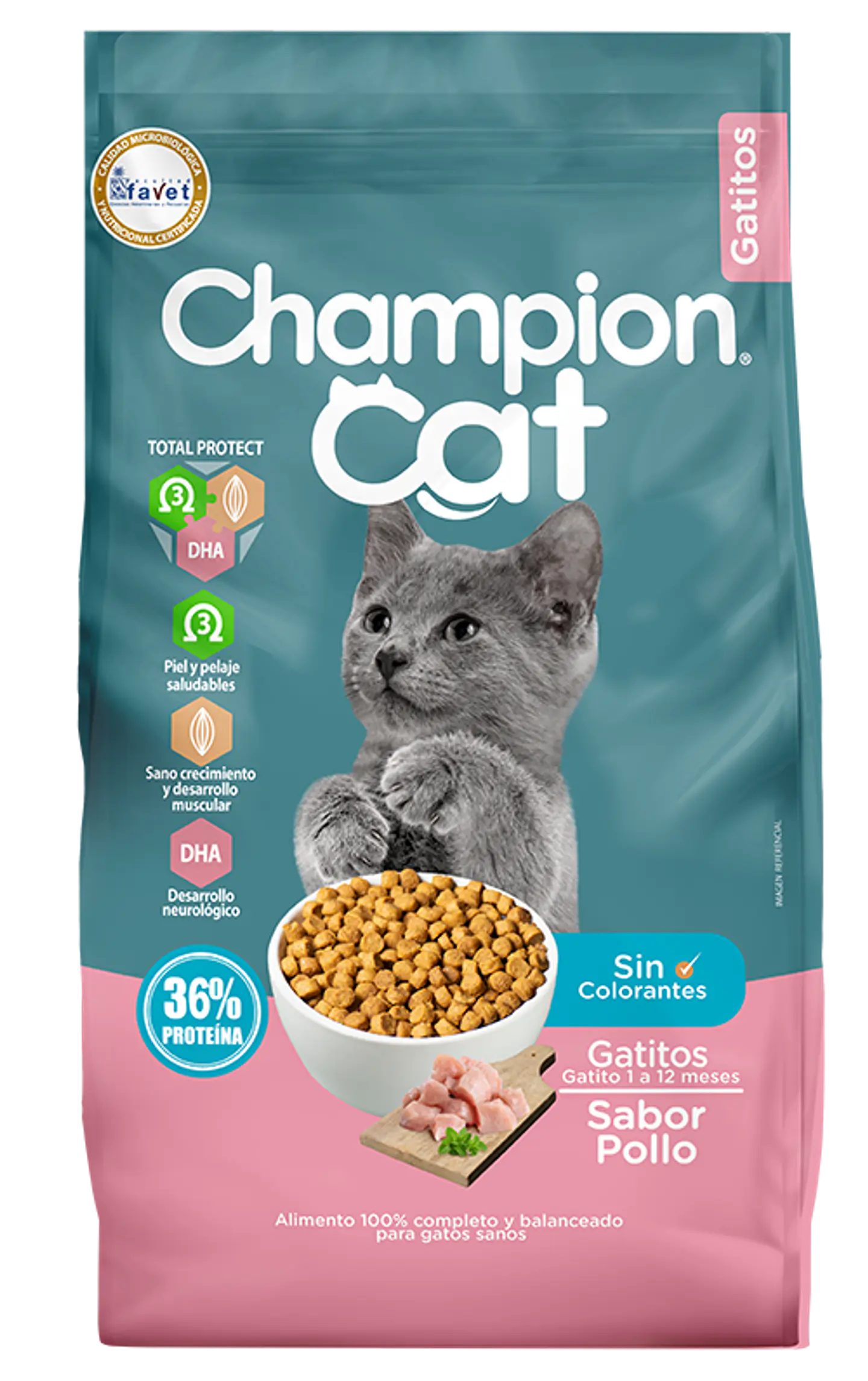 Champion Cat Gatitos 1