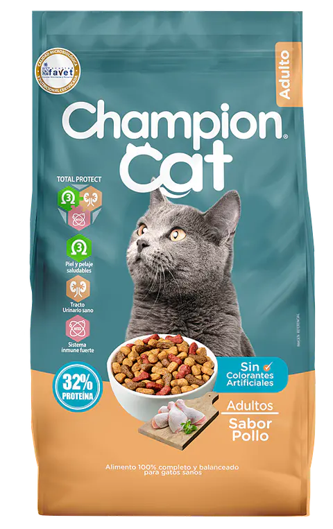 Champion Cat Pollo