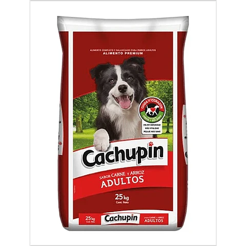 Cachupin Adulto 