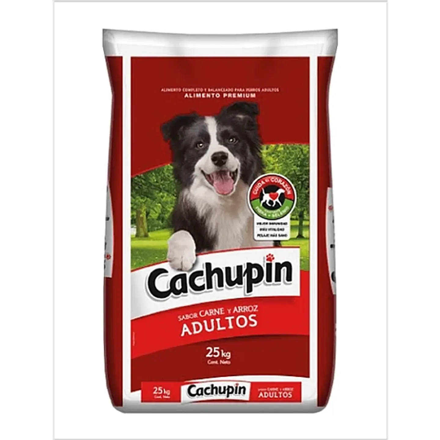Cachupin Adulto  1