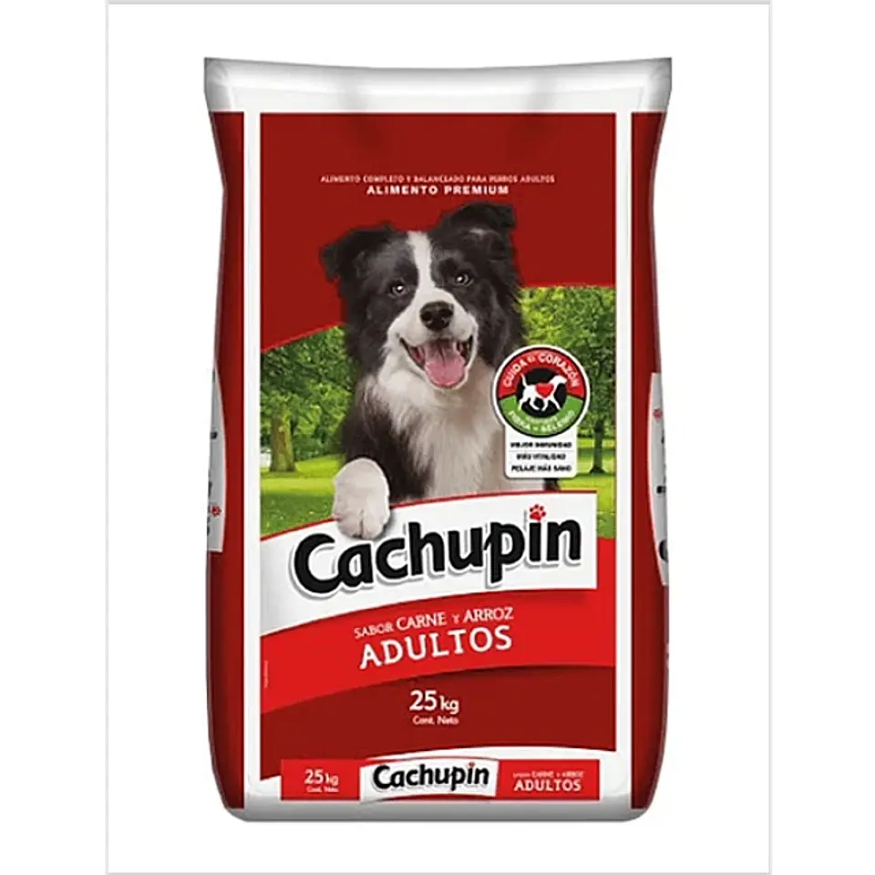 Cachupin Adulto  1