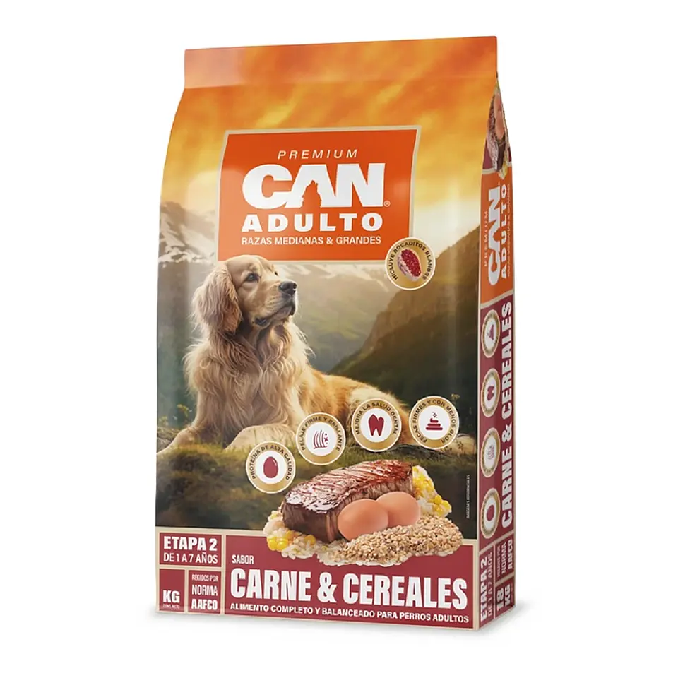 Can Adulto 1