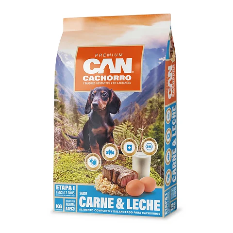 Can Cachorro