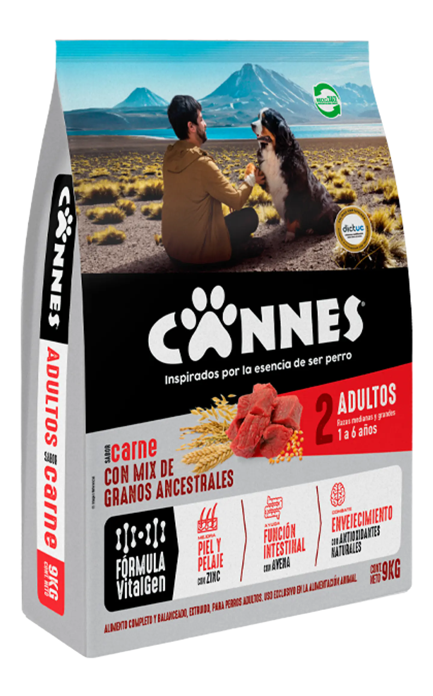 Cannes 18KG 1