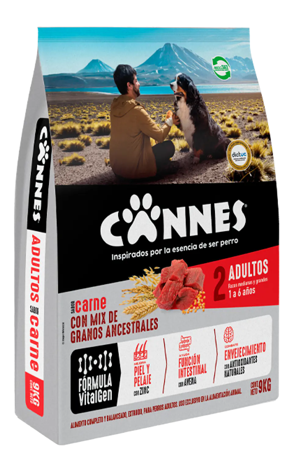 Cannes 18KG 1