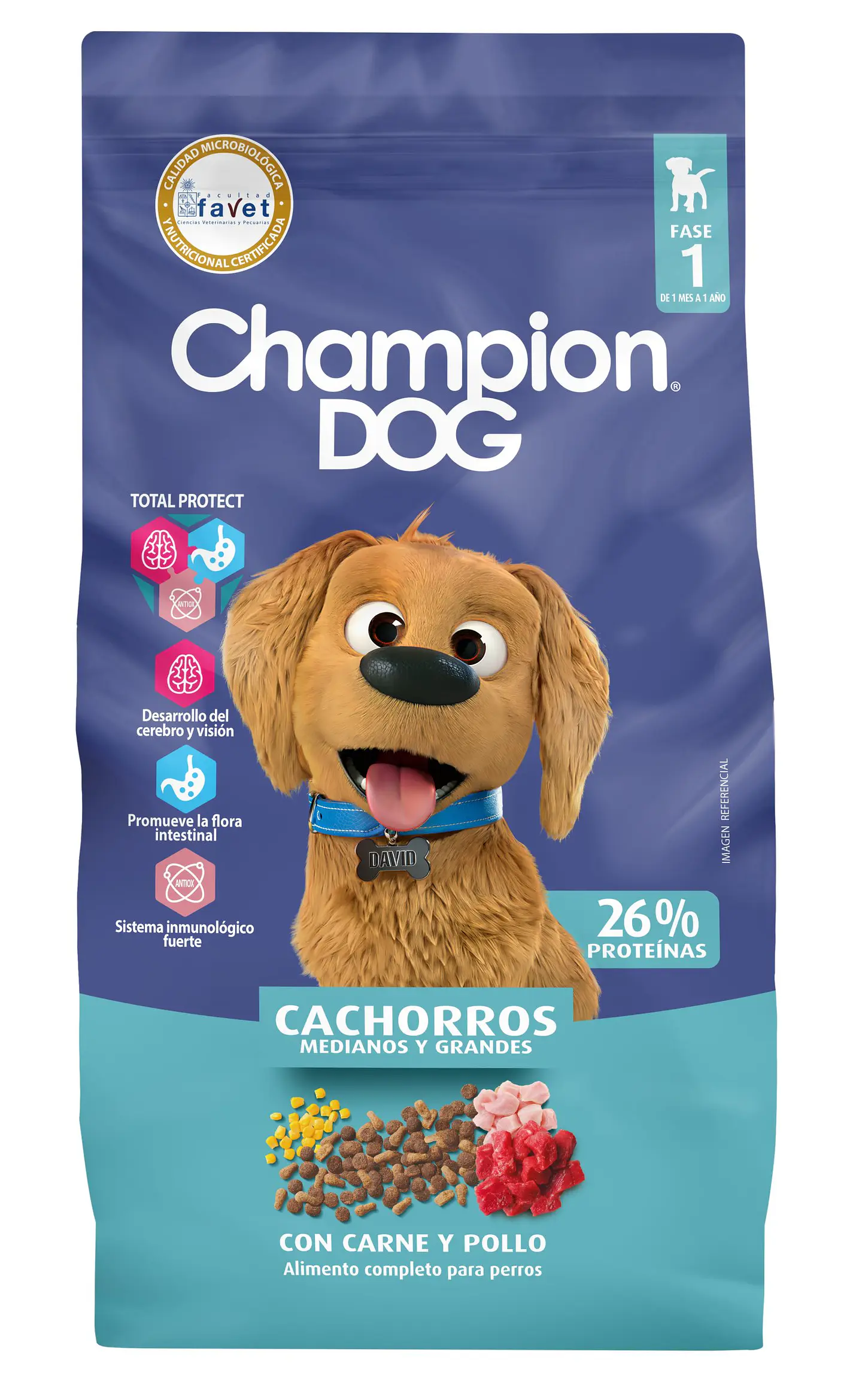 Champion Dog Cachorro 1