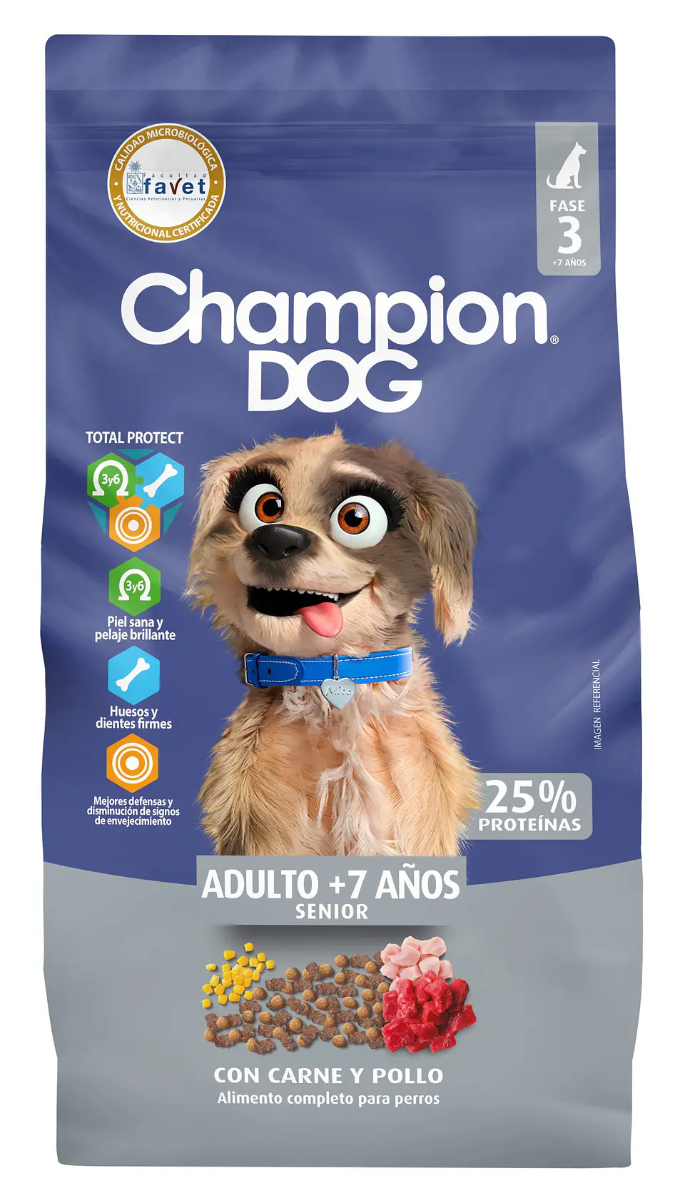 Champion Dog Senior 1