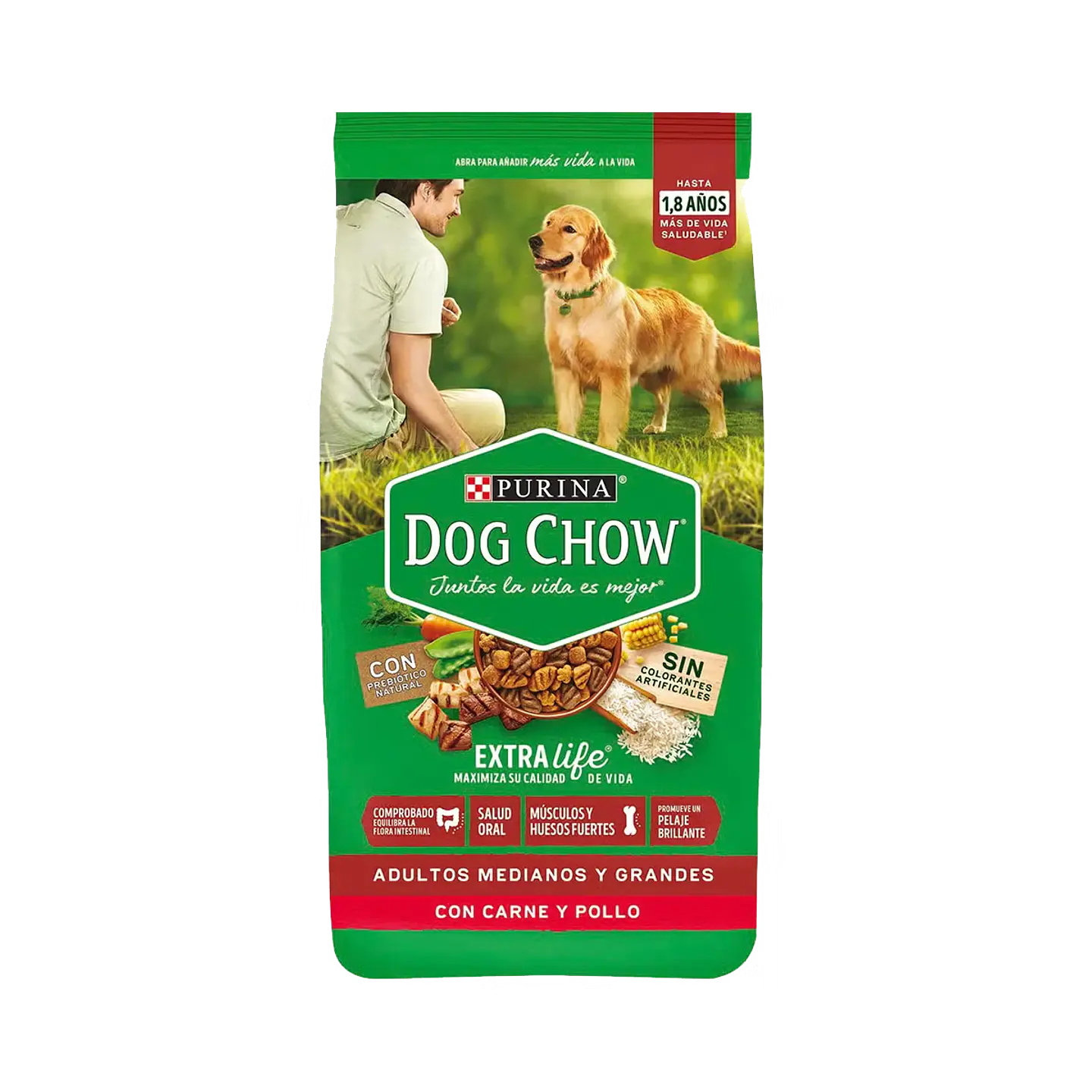 Dog Chow Adulto 1