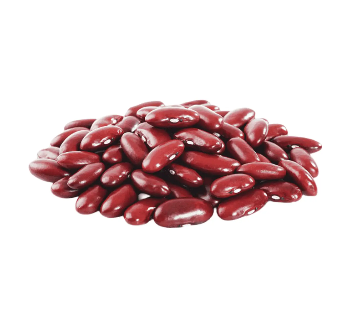 Porotos Rojos 1