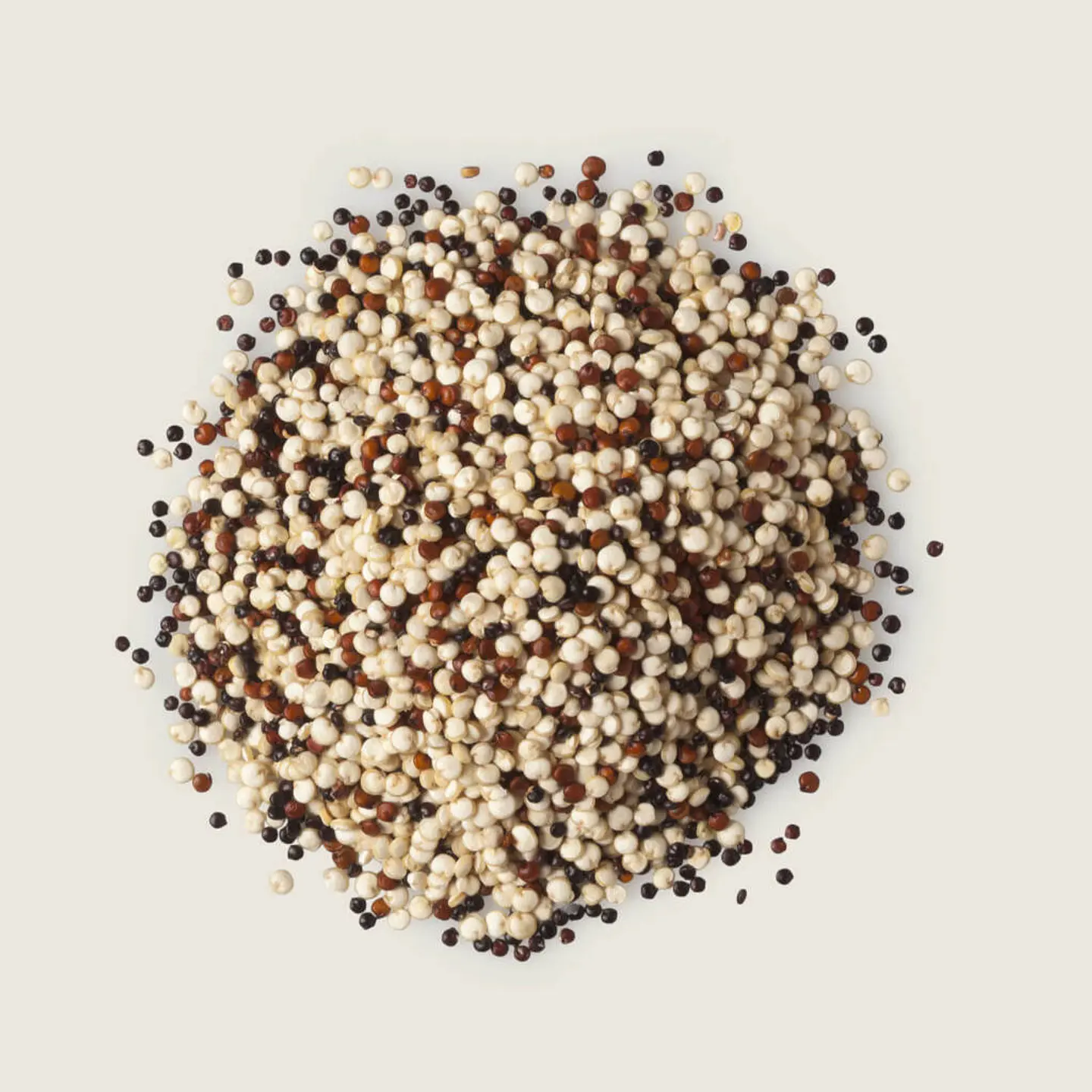 Quinoa Tricolor 1
