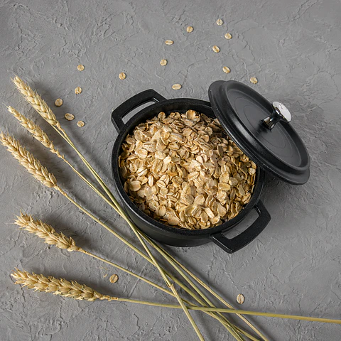 Avena Integral