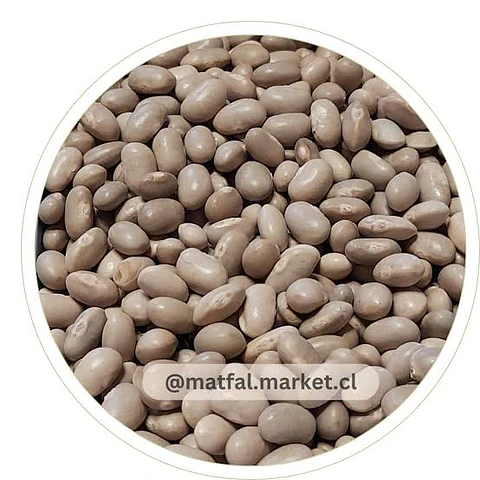 Porotos Tórtola (Burro)