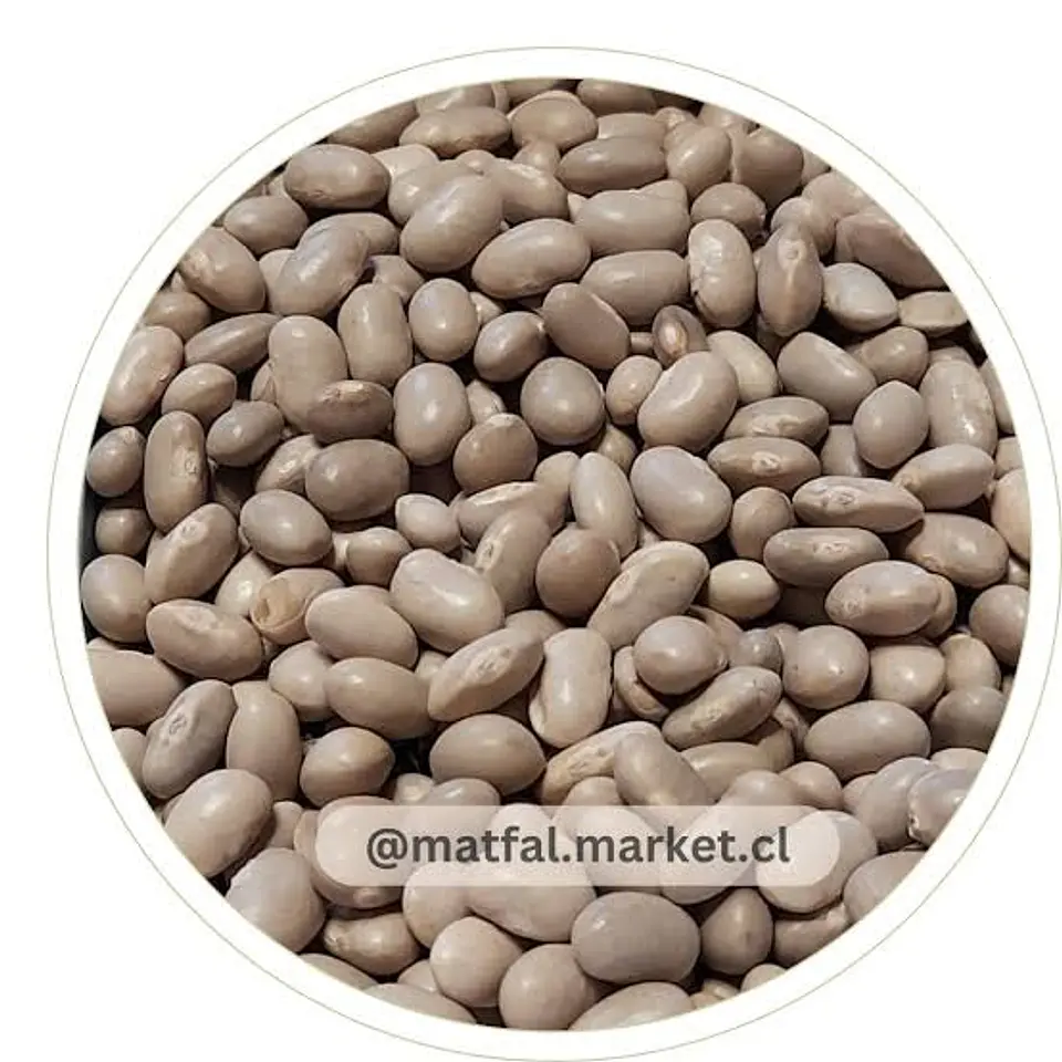 Porotos Tórtola (Burro) 1
