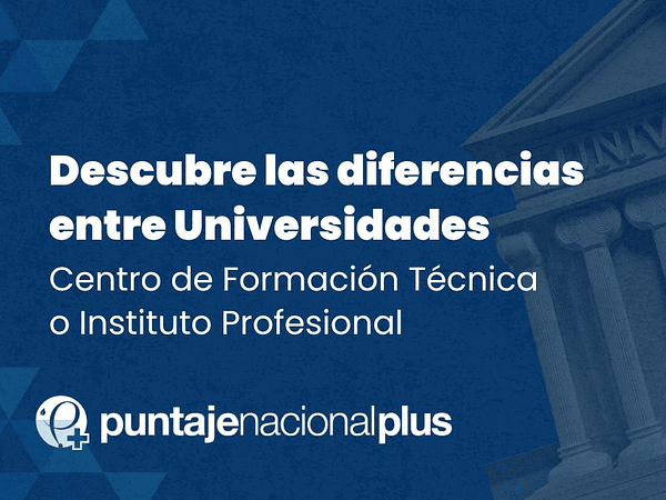 Centro de Formación Técnica o Instituto Profesional