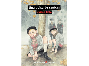 Una bolsa de canicas