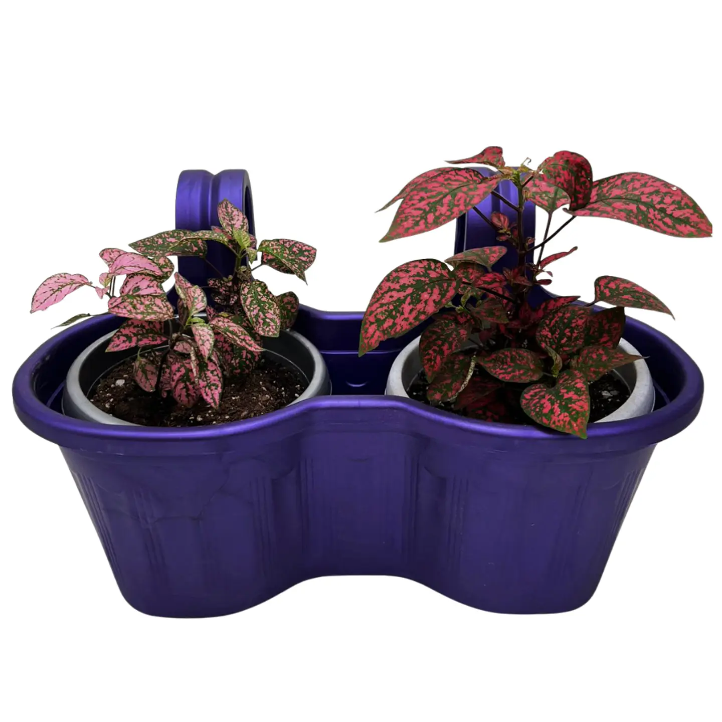 Macetero Doble Colgante para Reja o Balcón 2