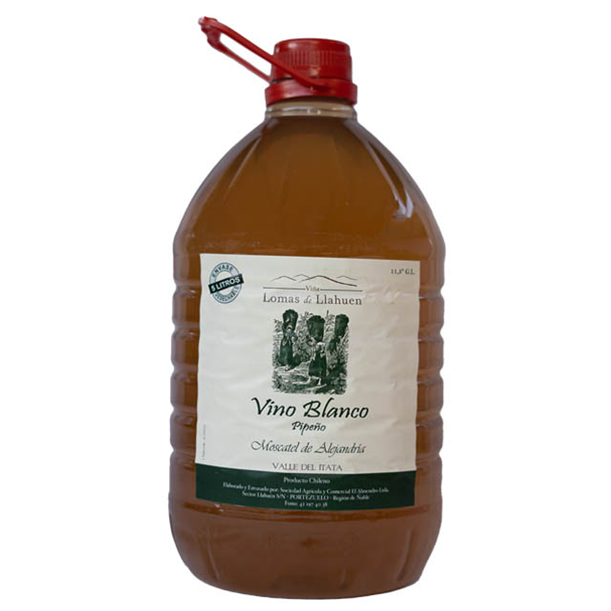 Vino Blanco Dulce Pipeño 5 Lt Lomas de Llahuén