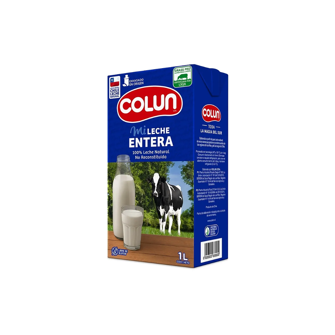 leche entera 1 litro colun 1