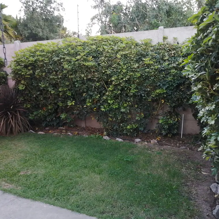 ARRIENDO BELLA Y GRANDE CASA EN CONDOMINIO EN LA CRUZ 6