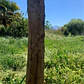 Maderas rústicas de laurel - Miniatura 3