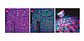Ampolleta Fiesta Parlante Bluetooth Y Control Remoto - Ps - Miniatura 2
