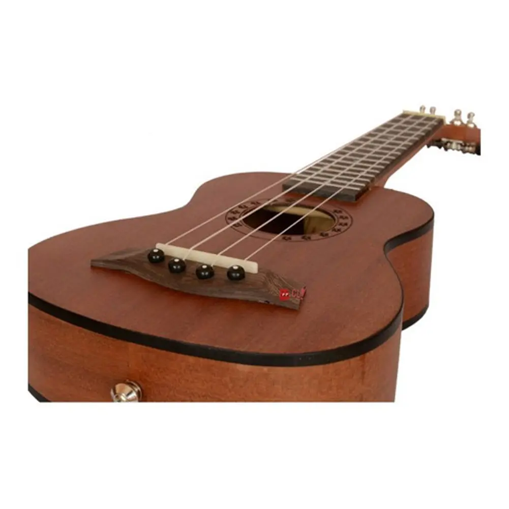 Ukelele De 21 Pulgadas Soprano + Estuche Valenciana - Ps 2